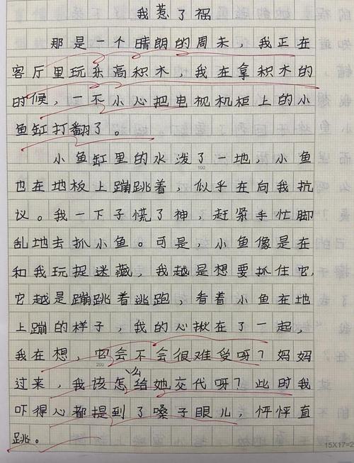 真不小心闯了祸，该怎么做