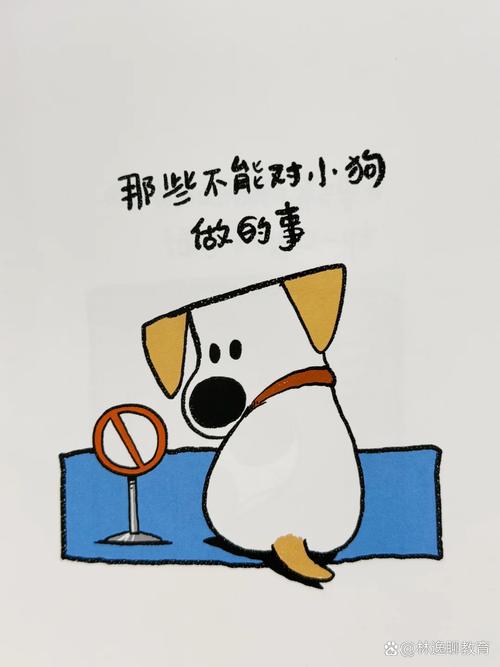 最该被重视的，从来都不是宠物