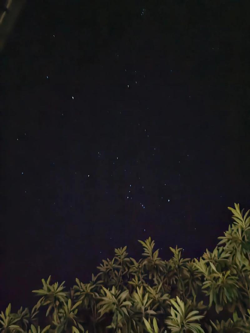夜晚乡村卧室窗外星空虫鸣的安宁画面
