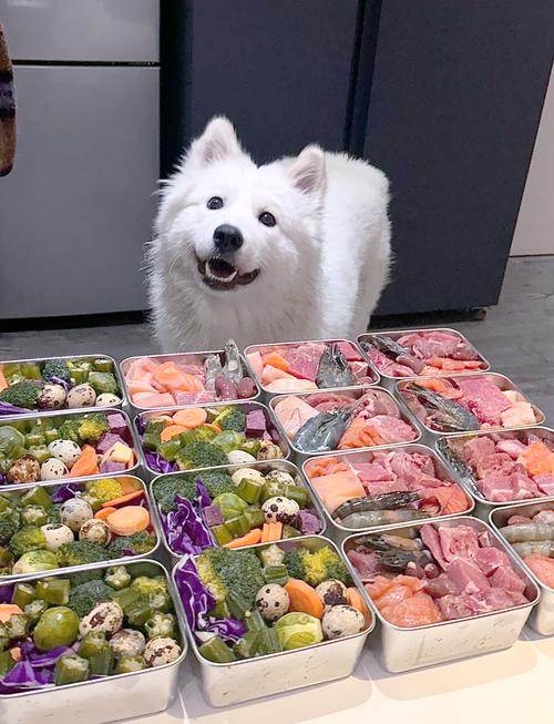 狗狗日常低钠护心饮食搭配实拍图