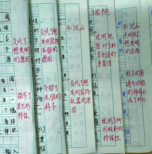 作业本上歪歪的小批注