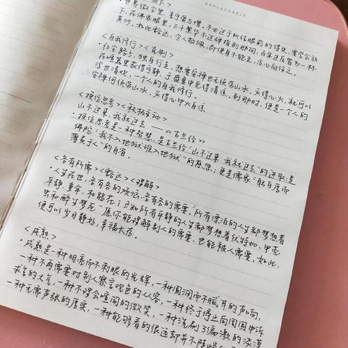 内容创作新人选题本密密麻麻写满未完成