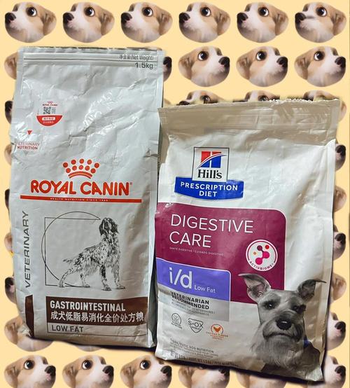 康复期金毛犬进食低脂肪犬胰腺炎处方粮场景