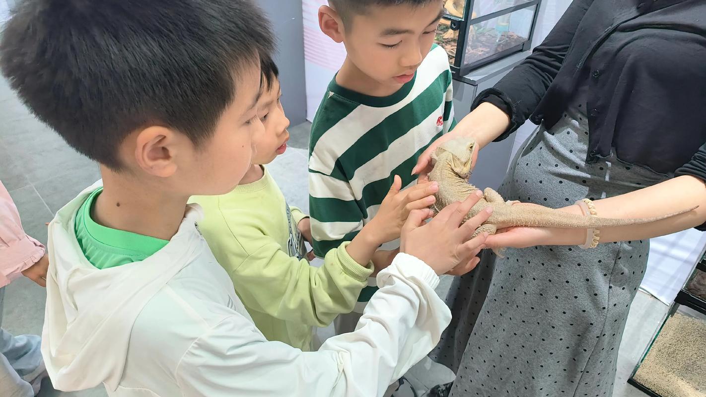家庭餐桌上孩子指着恐龙玩具向妈妈提问