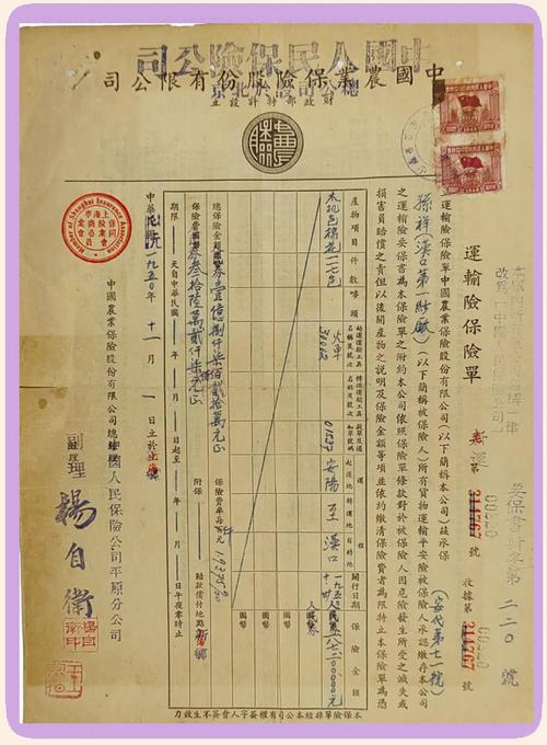 旧抽屉里翻出的泛黄纸质保单