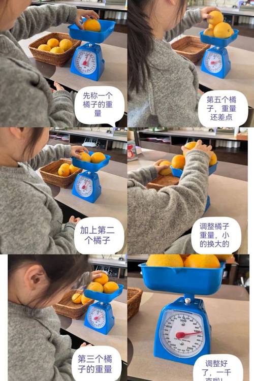 家庭亲子西瓜称重数学实验实拍