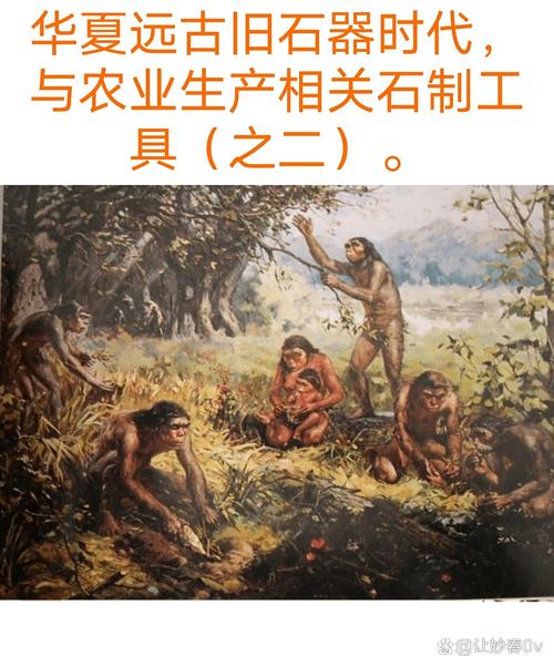 葱的文化史:从诗经到煎饼果子