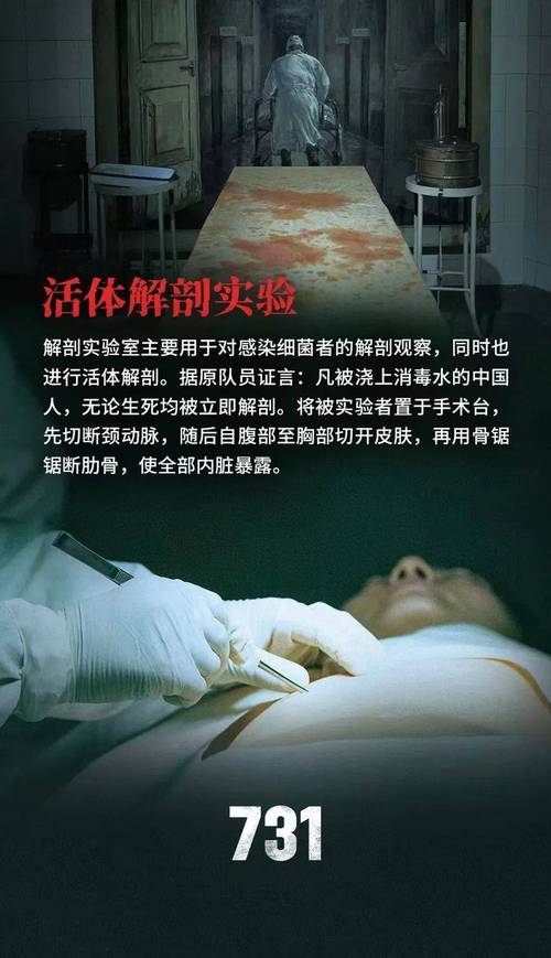 先解剖自己，再研究市场