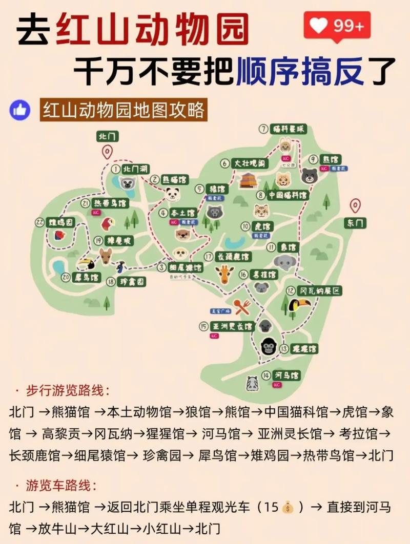动物园步行路线上游客穿着舒适运动鞋