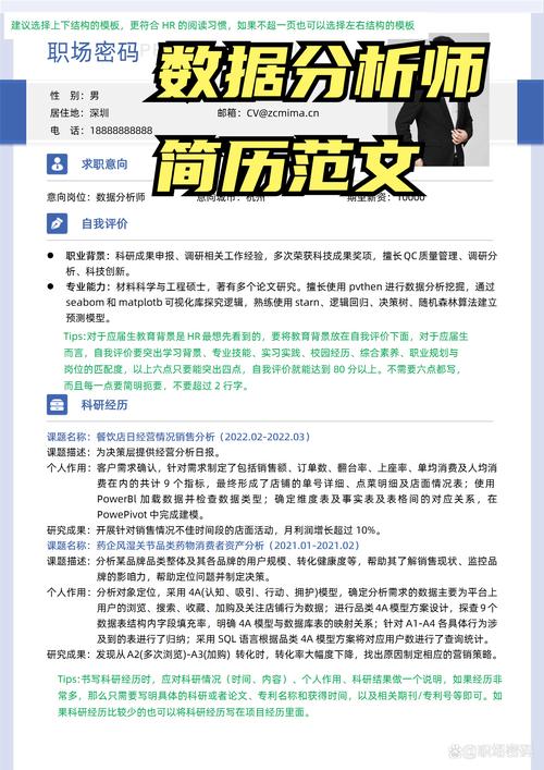 数据分析师项目作品集简历示例