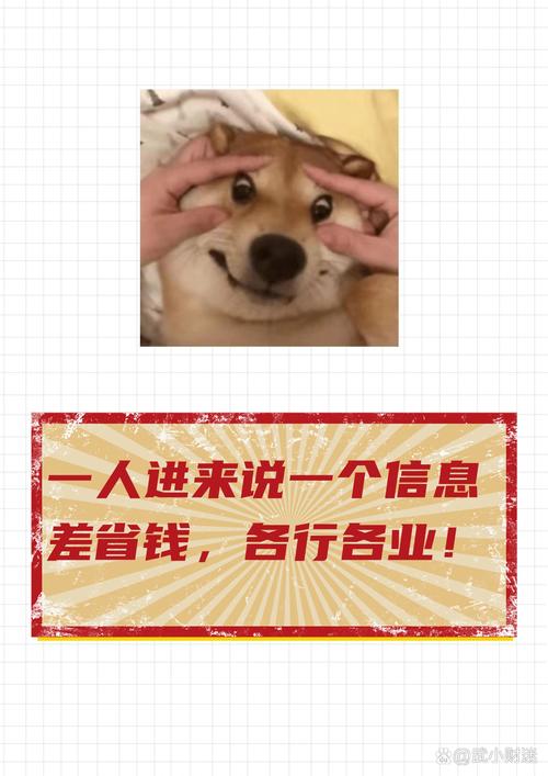 真要换怎么选？帮你省一半钱