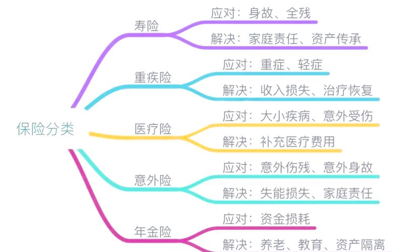 保险核保五种结论分类示意图