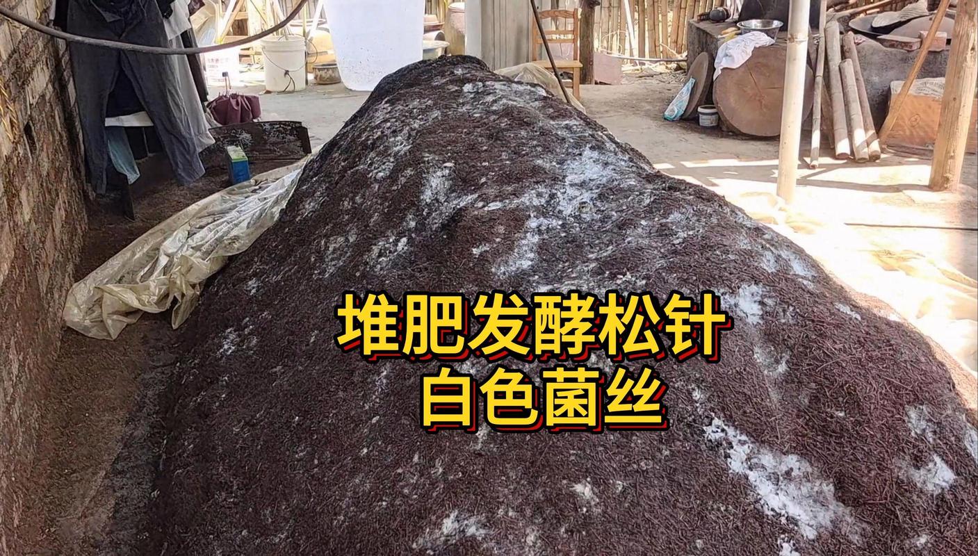 松针堆肥腐熟过程对比图