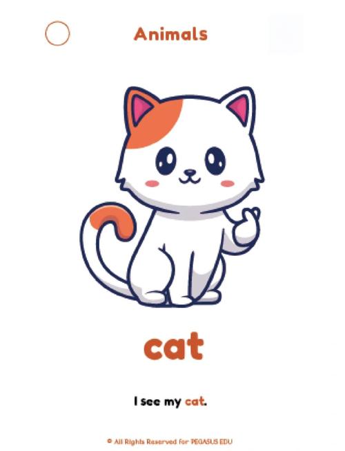 儿童英语启蒙动物单词cat毛绒玩具展示图