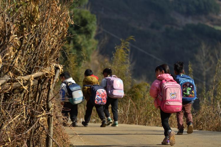 山区上学路晨雾中背着书包的孩子背影