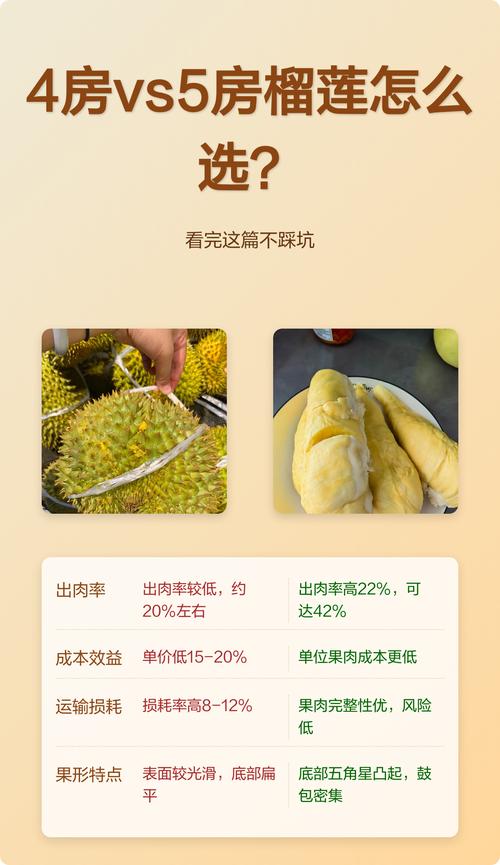 吃住怎么选不踩坑