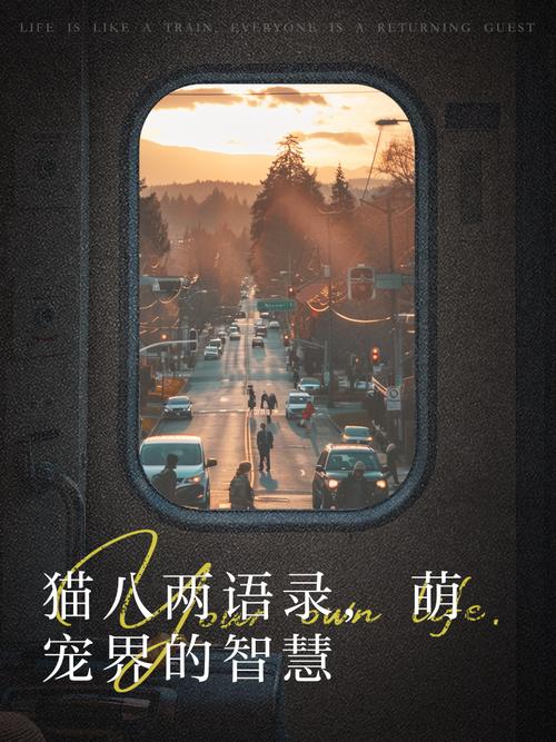 为什么偏偏是散步,还非得聊天?