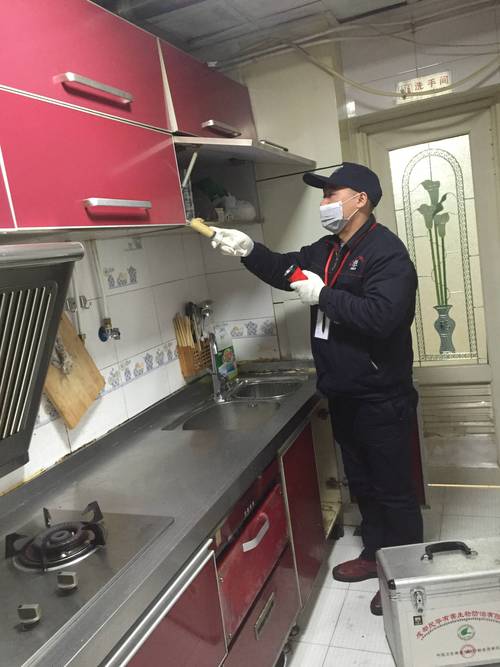 家庭厨房蟑螂虫害防治实拍图