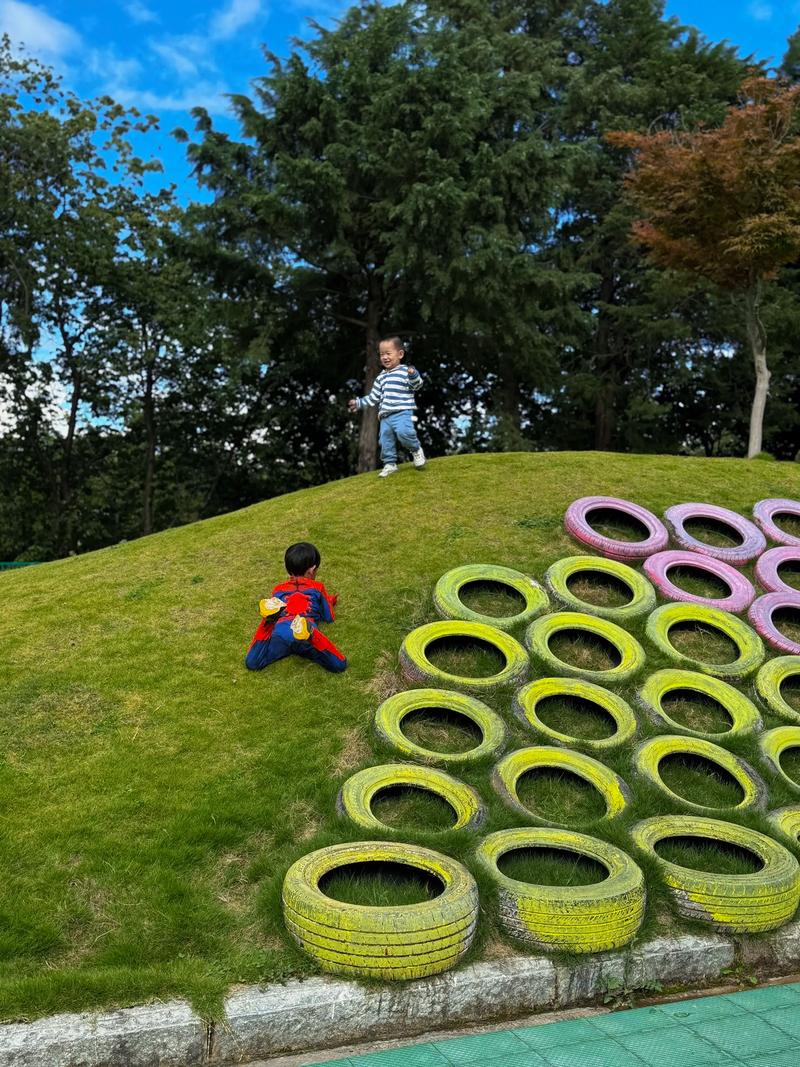 幼儿在自然中游戏探索的户外场景