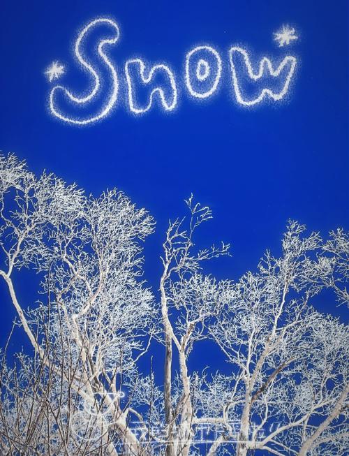 日本北海道富良野滑雪场初学者在粉雪上练习