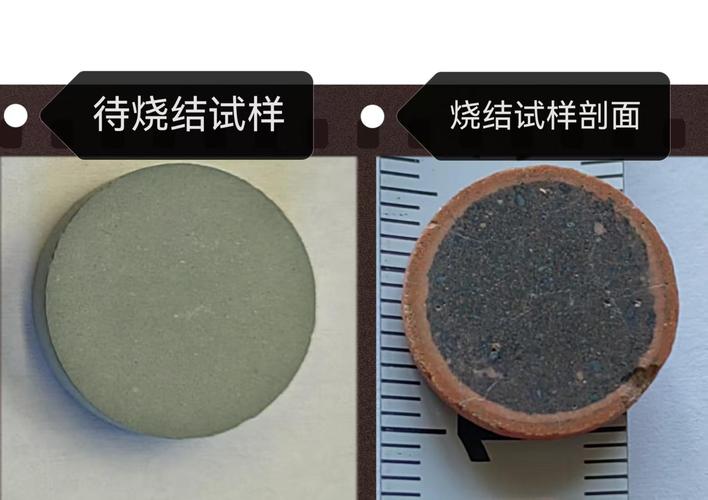 那些让我半夜笑出声的科研成果，真的离谱又炸裂