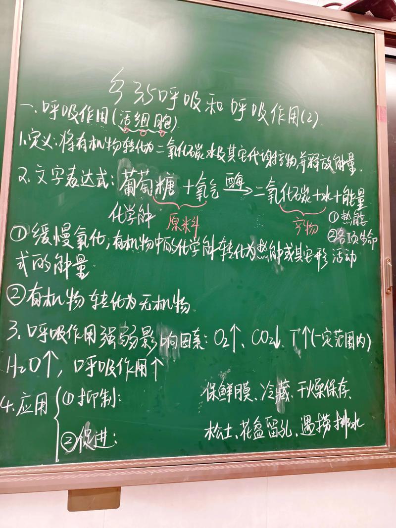 初中生物课堂呼吸作用过程手写板书
