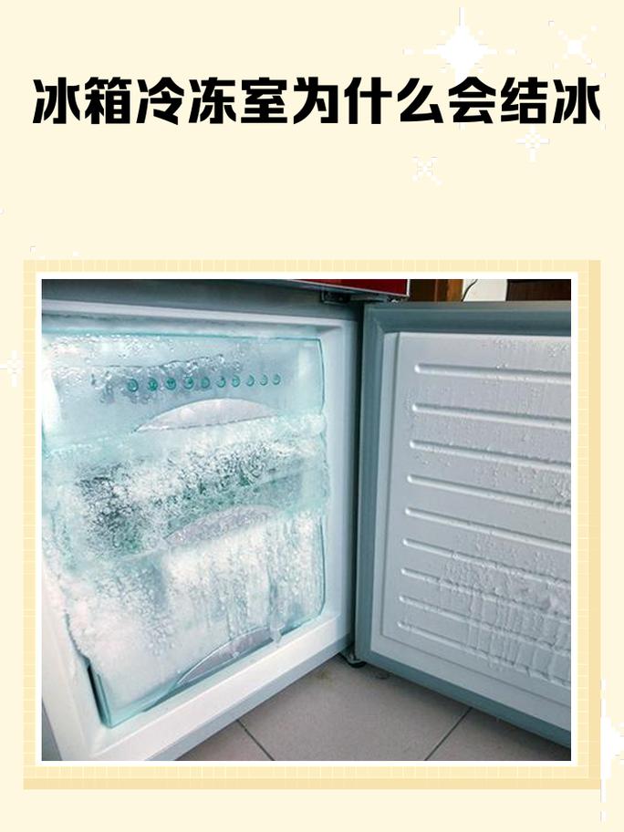 冷冻室:你以为的冷,其实暗藏玄机