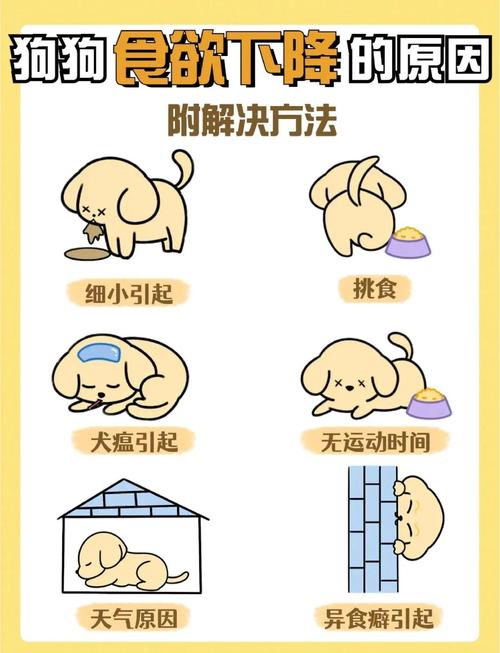 别上来就饿肚子！这个误区我坑过我家狗