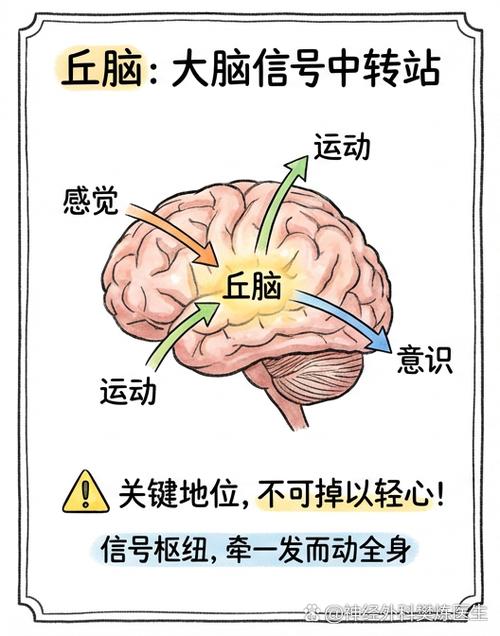 分清：这些情况不是缺拥抱的力量，要立刻就医