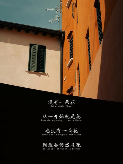 好氛围，都是不完美养出来的