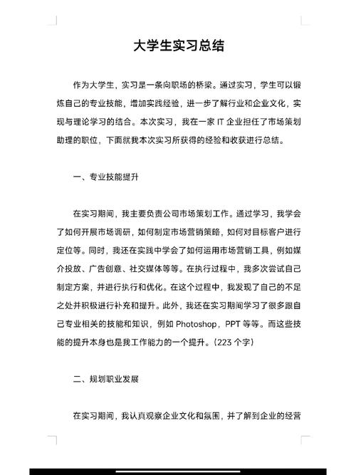 大学生展示自己的项目作品集与实习报告