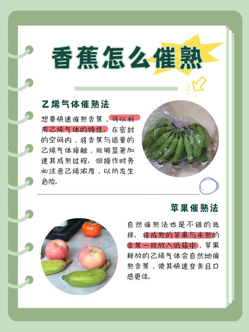 香蕉苹果乙烯气体催熟原理示意图