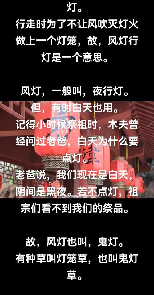 灯散场后，我跟着扎灯的王师傅回了家