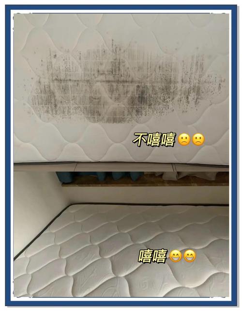 木质家具回南天防潮除霉操作实拍