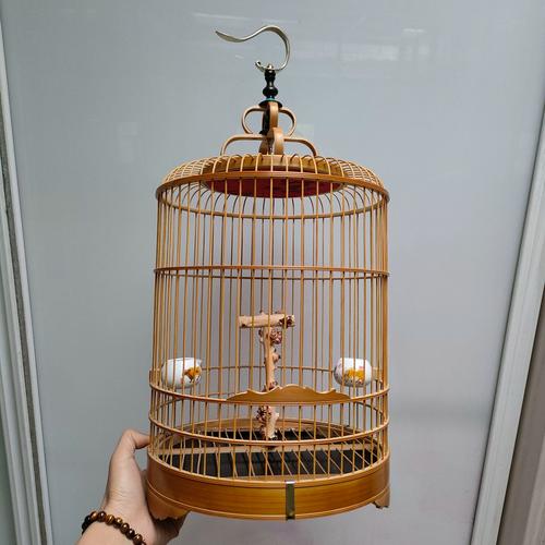 竹制老鸟笼里的绣眼羽毛