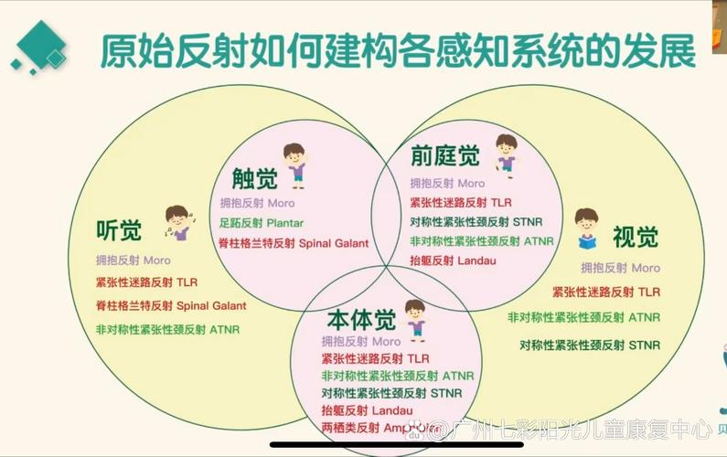 原始反射到底是啥玩意儿?