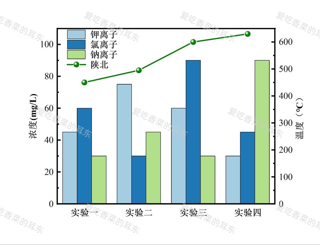 📊 一份来自未来的“课后服务”进化方向