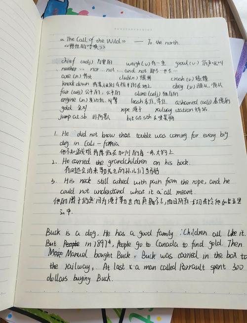 高中英语阅读生词标注笔记实拍