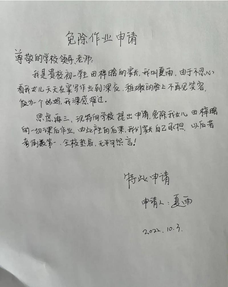 真要申请减免，直接抄作业就行了