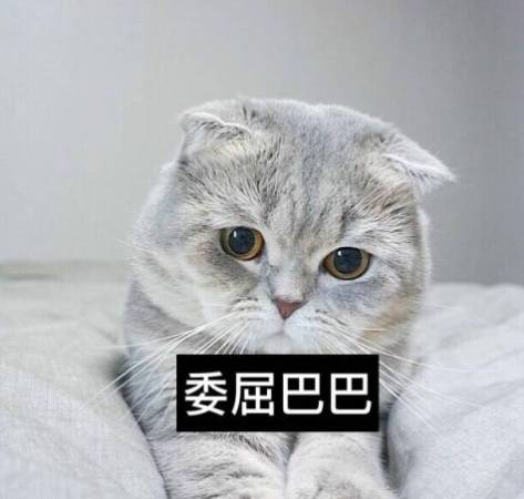那些坑死人的