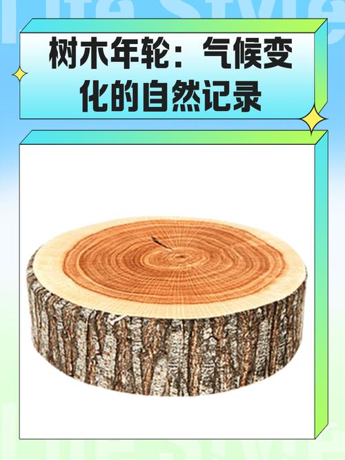 年轮：树把秘密刻进骨头里，我们呢？-因为所以