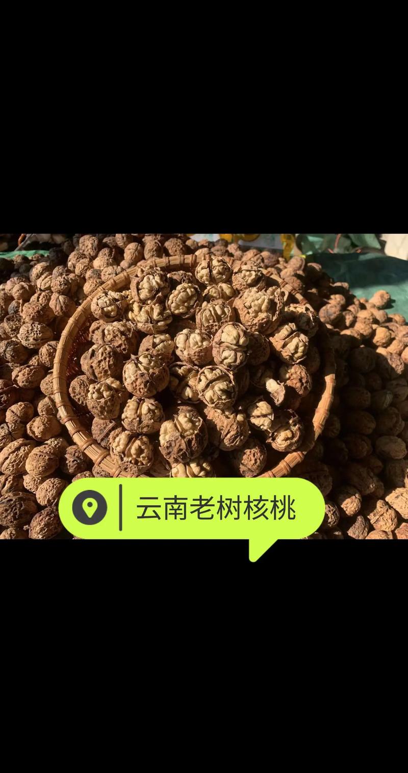 核桃:你吃的可能都是陈货,以及为什么我非推荐带壳的不可-因为所以