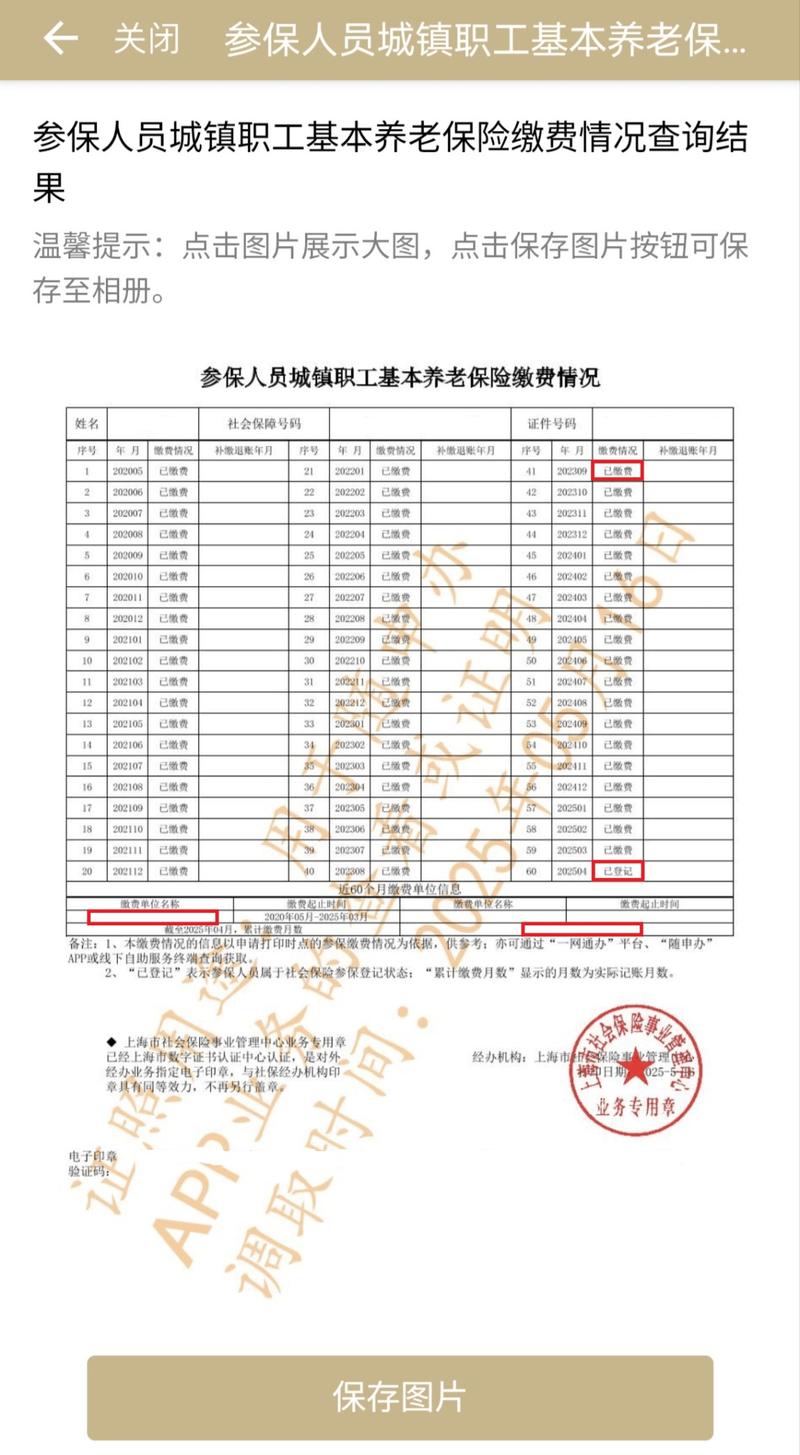 社保个人账户缴费明细查询示例