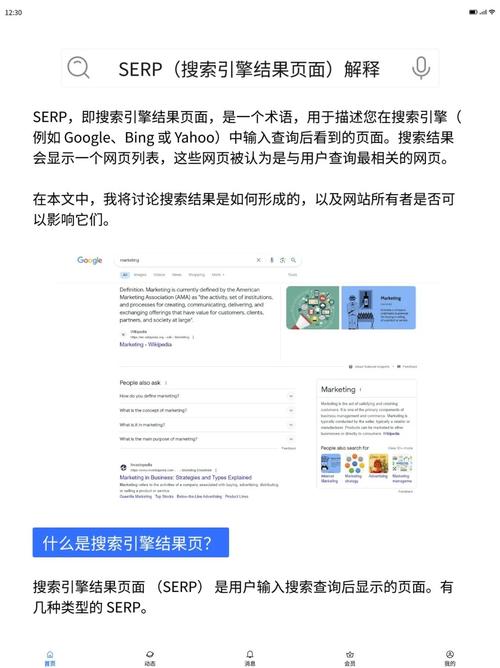 大模型搜索引擎结果页面SERP特征图