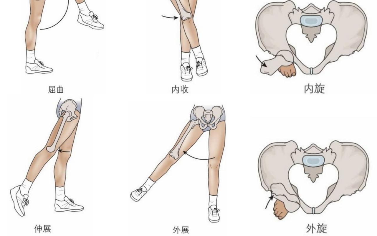 适合骨骼健康的日常运动姿势图