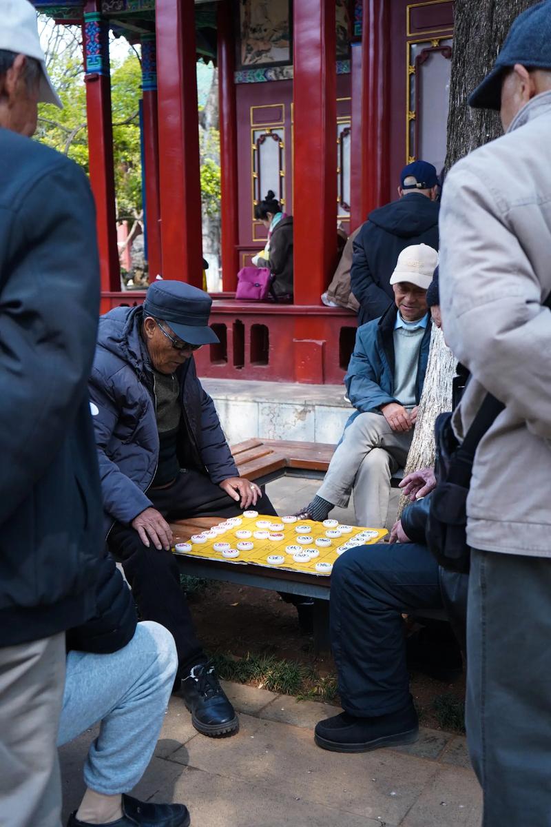 中山公园老人下棋