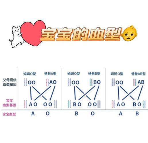 亲子在家玩血型遗传卡片游戏场景
