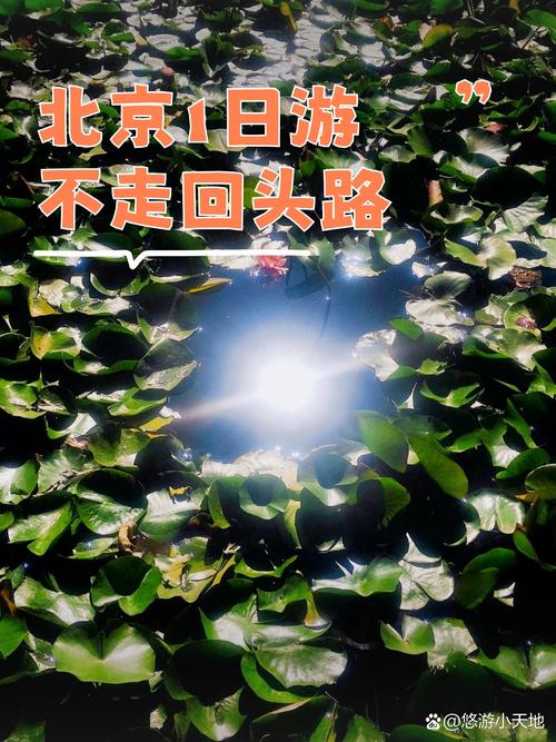 午后的街巷：迷路才是正经事