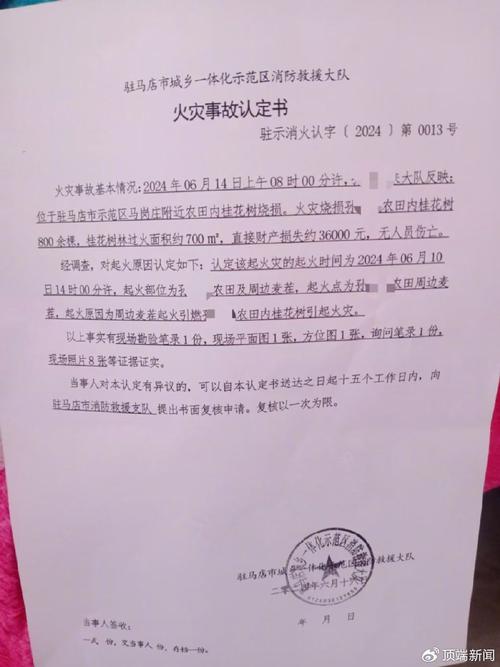 消防部门火灾事故认定书官方样本
