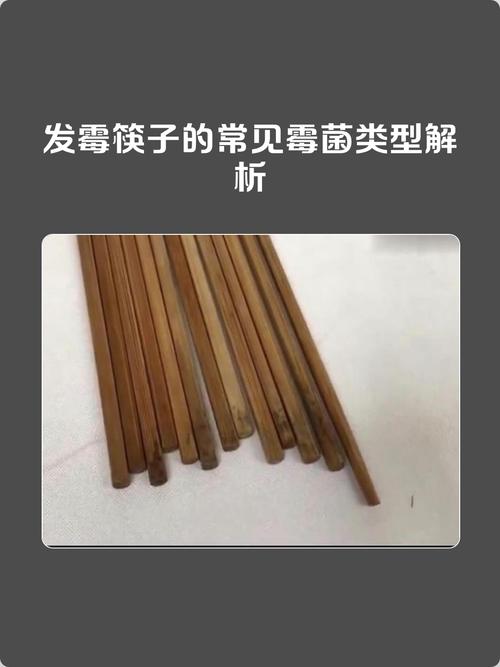发霉竹筷的显微镜放大照片